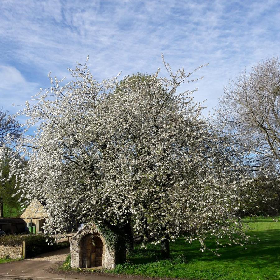 Wayside House B&B Whichford Kültér fotó
